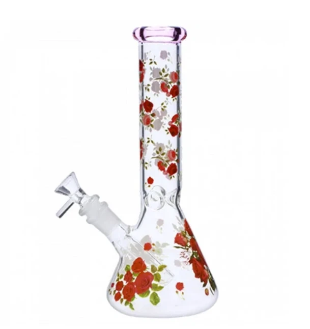 Premium Bongs & Hookahs for the Perfect Session